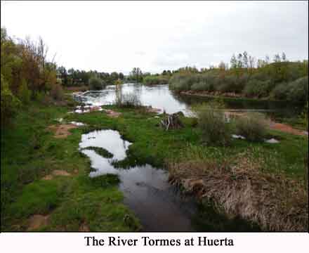 The Tormes River at Huerta