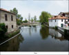 Viseu