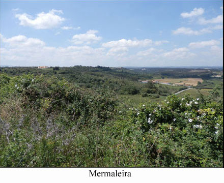 Marmeleira